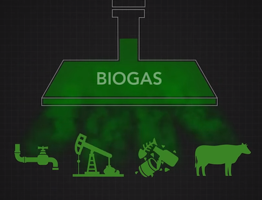 Biogas Electrical Generation